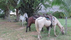 IMG 3081